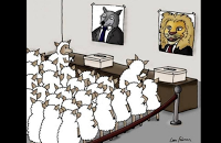 Why vote?